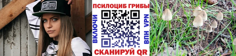 Галлюциногенные грибы Magic Shrooms  Апшеронск 